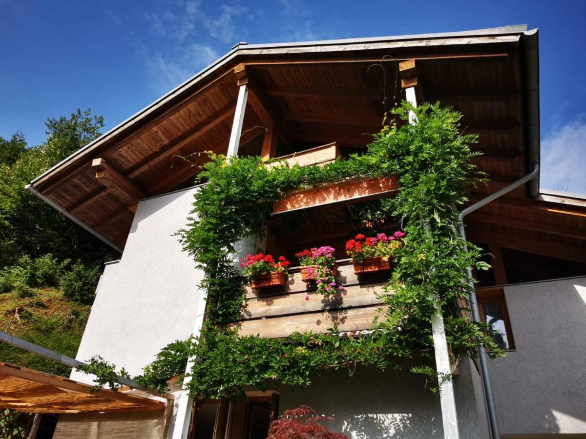 Bed and Breakfast Minavill La Casa Sulle Dolomiti Fiera Di Primiero Exterior foto